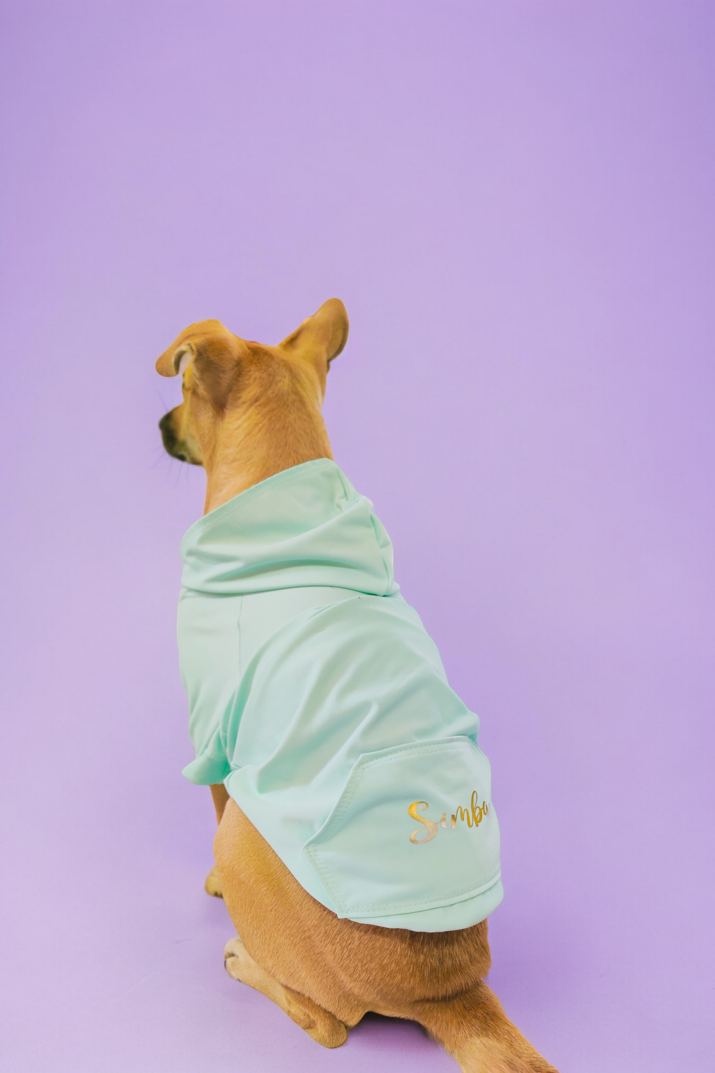 Mint Sweatshirt