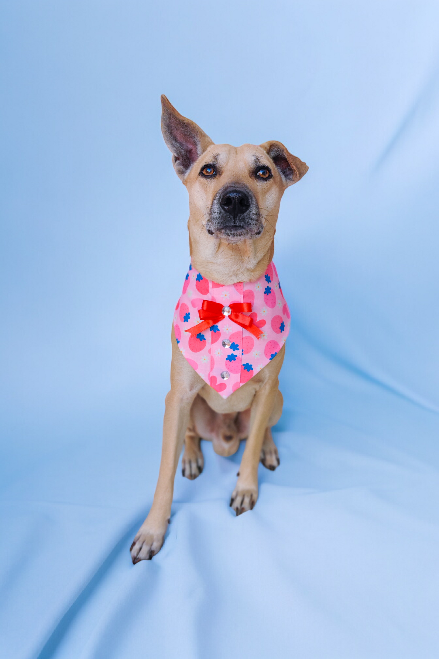 Pink Strawberry Bandana