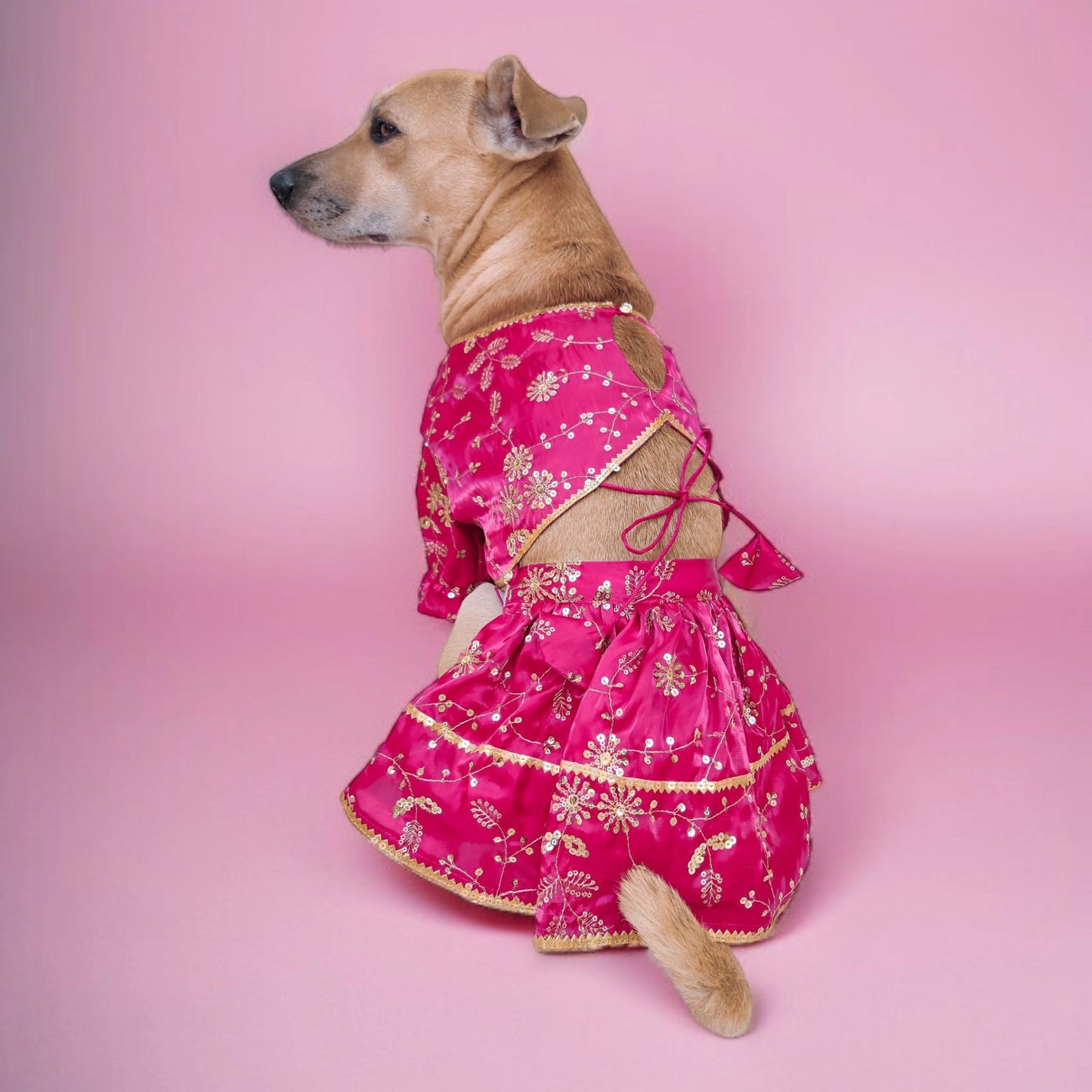 Gulabi Phooljhari Lehenga