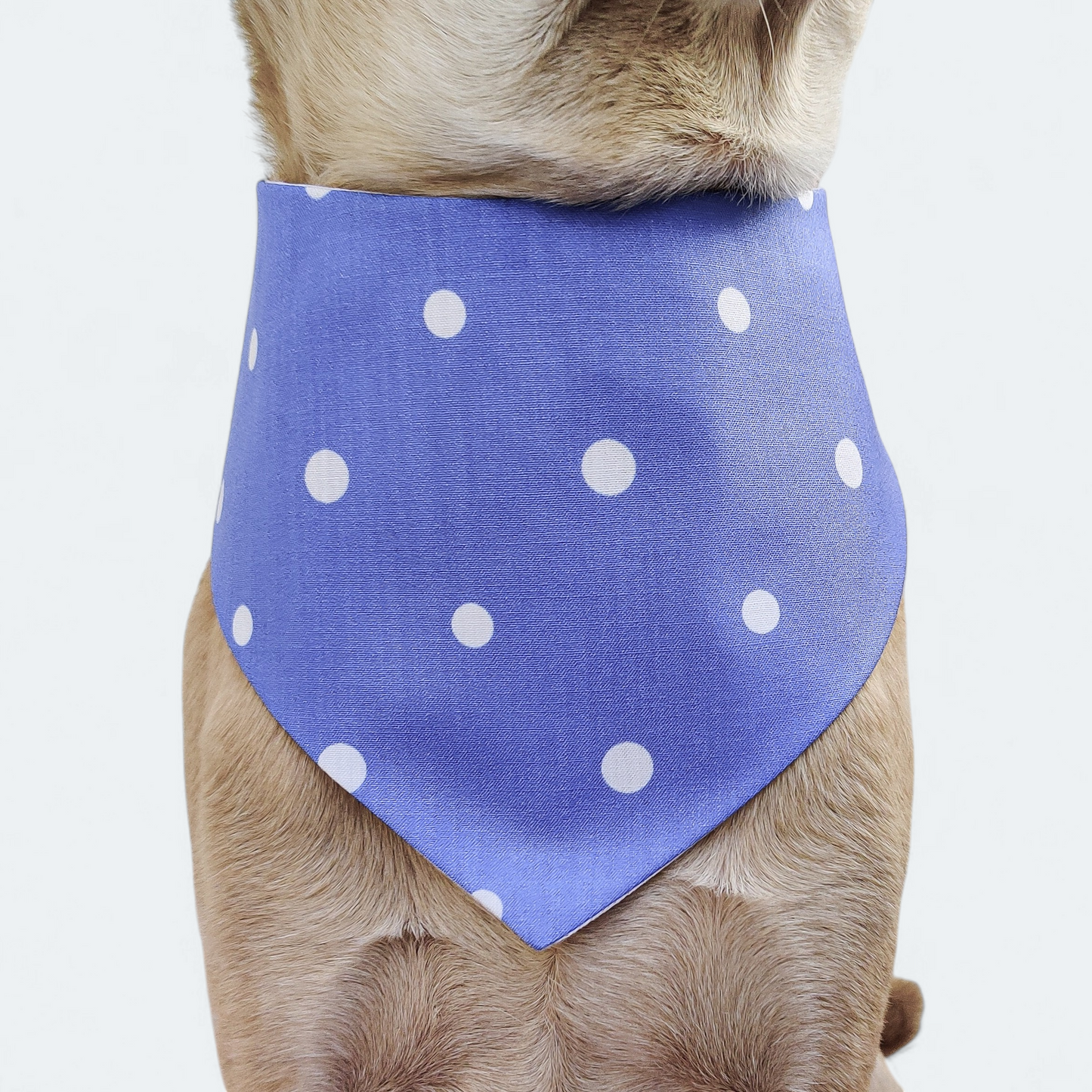 Light Dotty Bandana