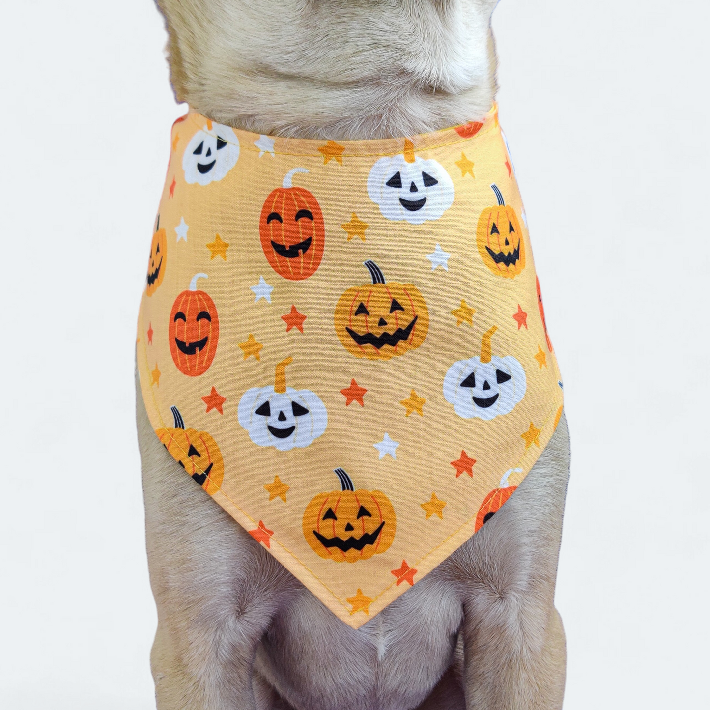 Scary Pumpkin Bandana