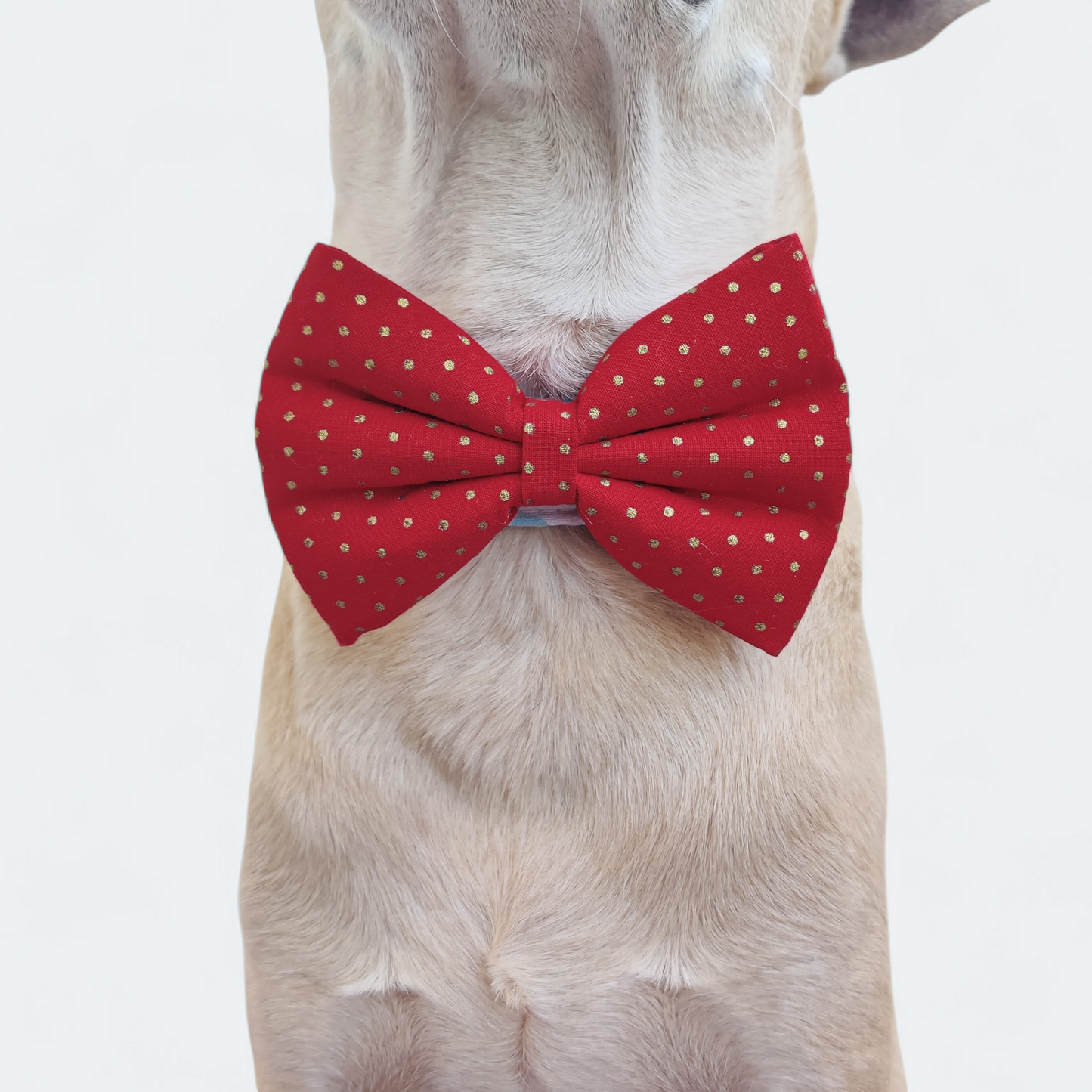 Red Polka Classic Bow for Dogs