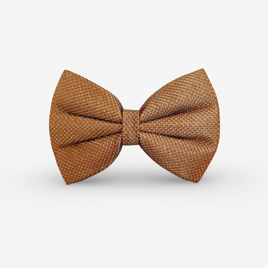 The Dapper Gold Classic Bow for Dogs