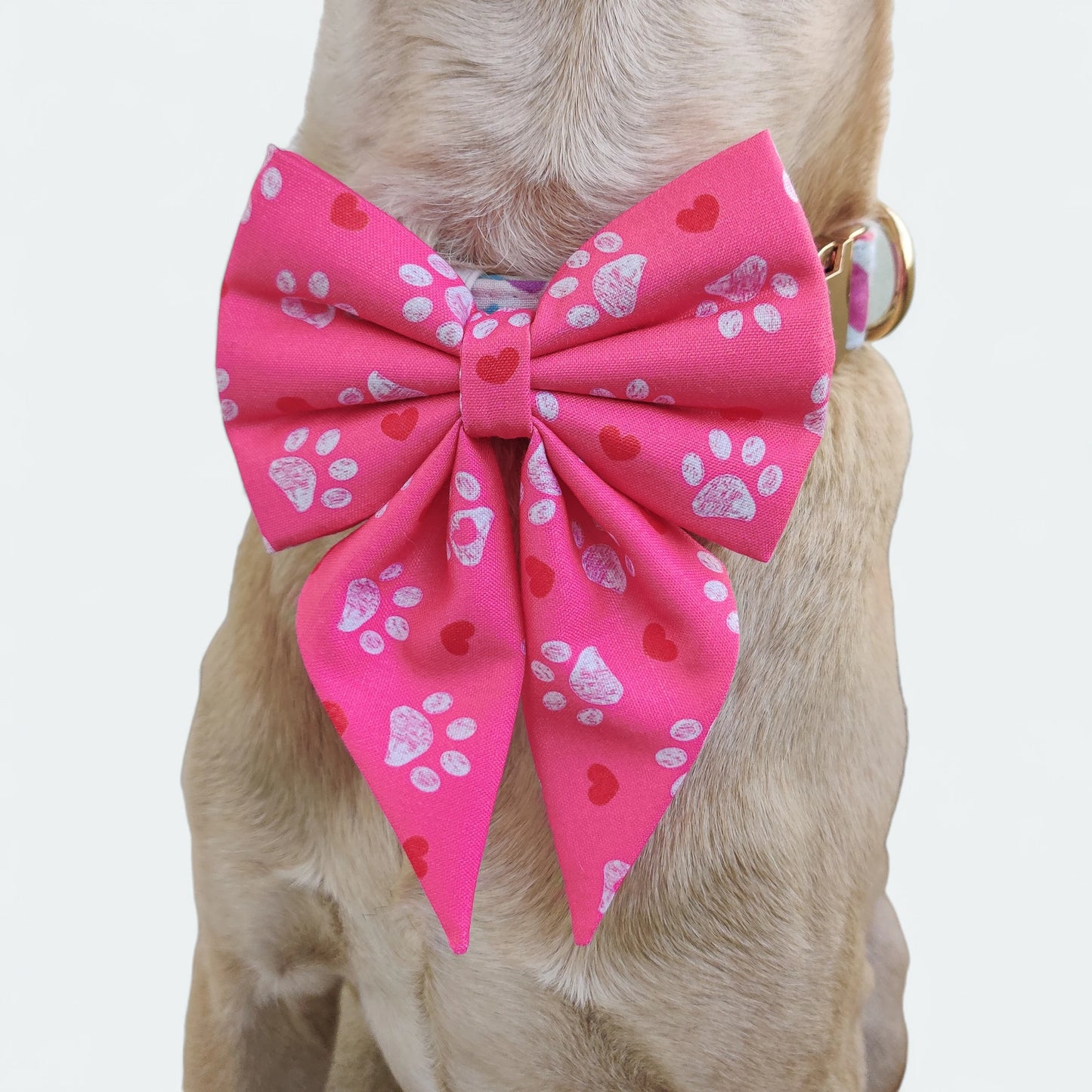 Pookie Paws Sailor Bow for Dogs