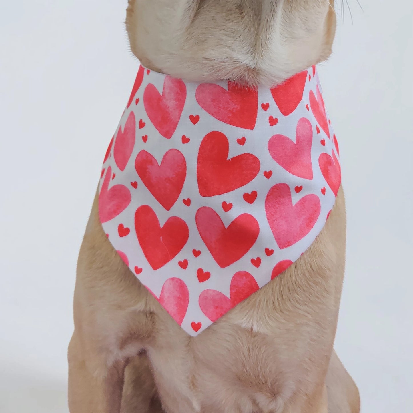 Piece of my Heart Bandana