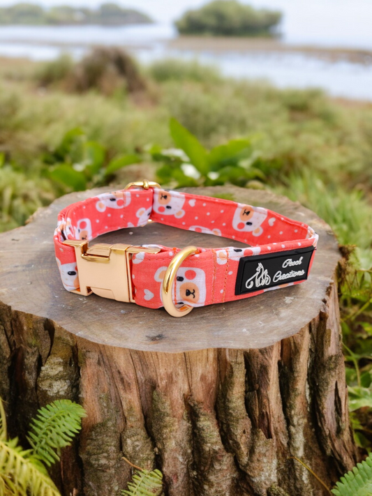 Bear-y Cute Collar + Leash + Sailor Bow
