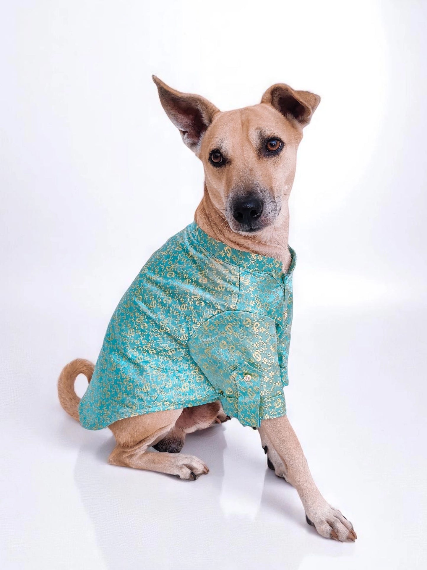 Panna Tashan Kurta