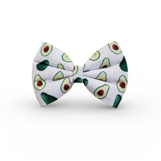 Avocado Classic Bow