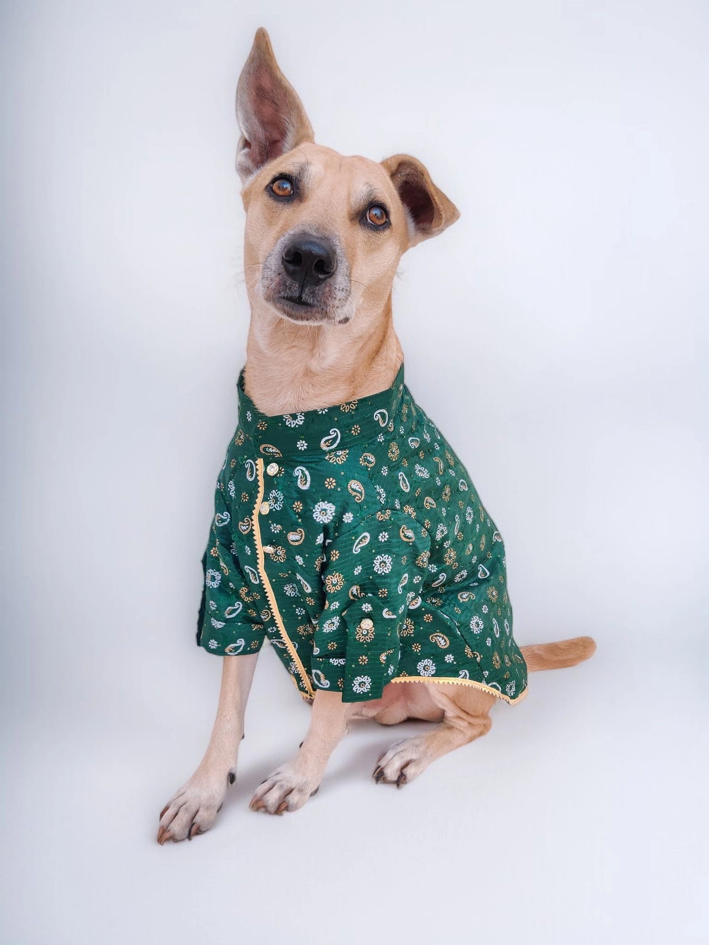 Olive Green Paisley Kurta