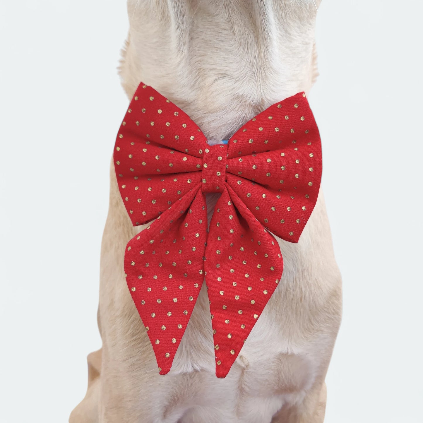 Red Polka Sailor Bow for Dogs