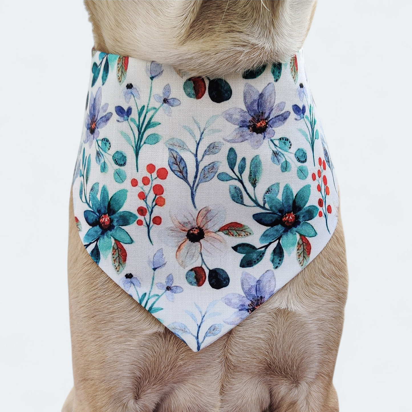Petunia Harness + Collar + Leash + Bandana