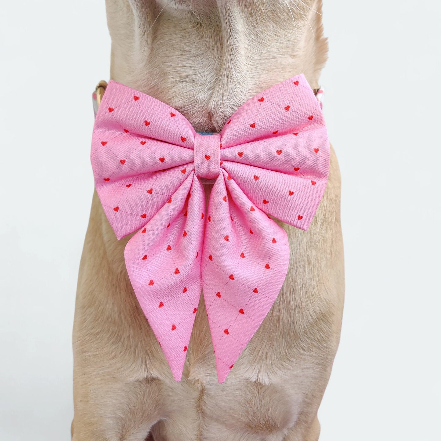 Pinky Promise Sailor Bow for Dogs