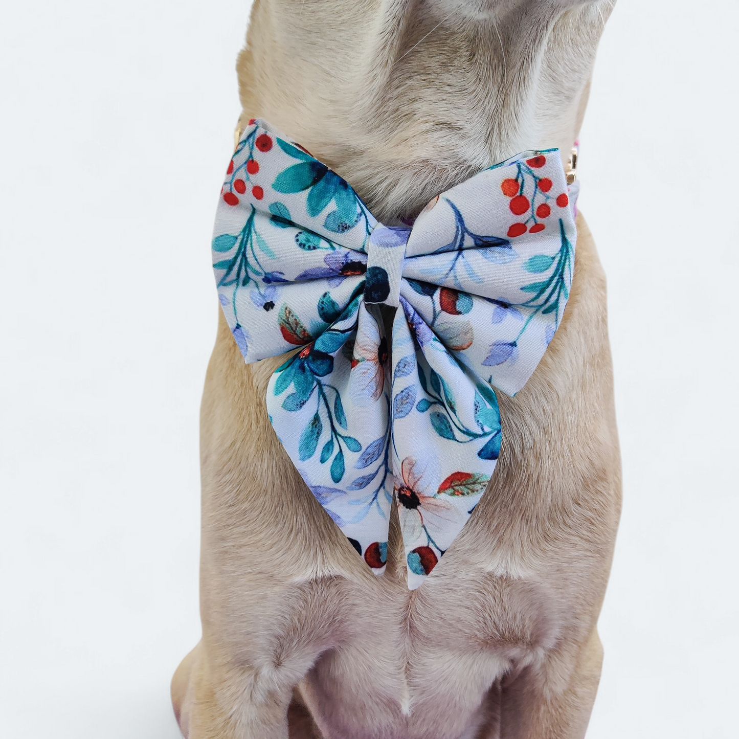 Petunia Harness + Collar + Leash + Sailor Bow