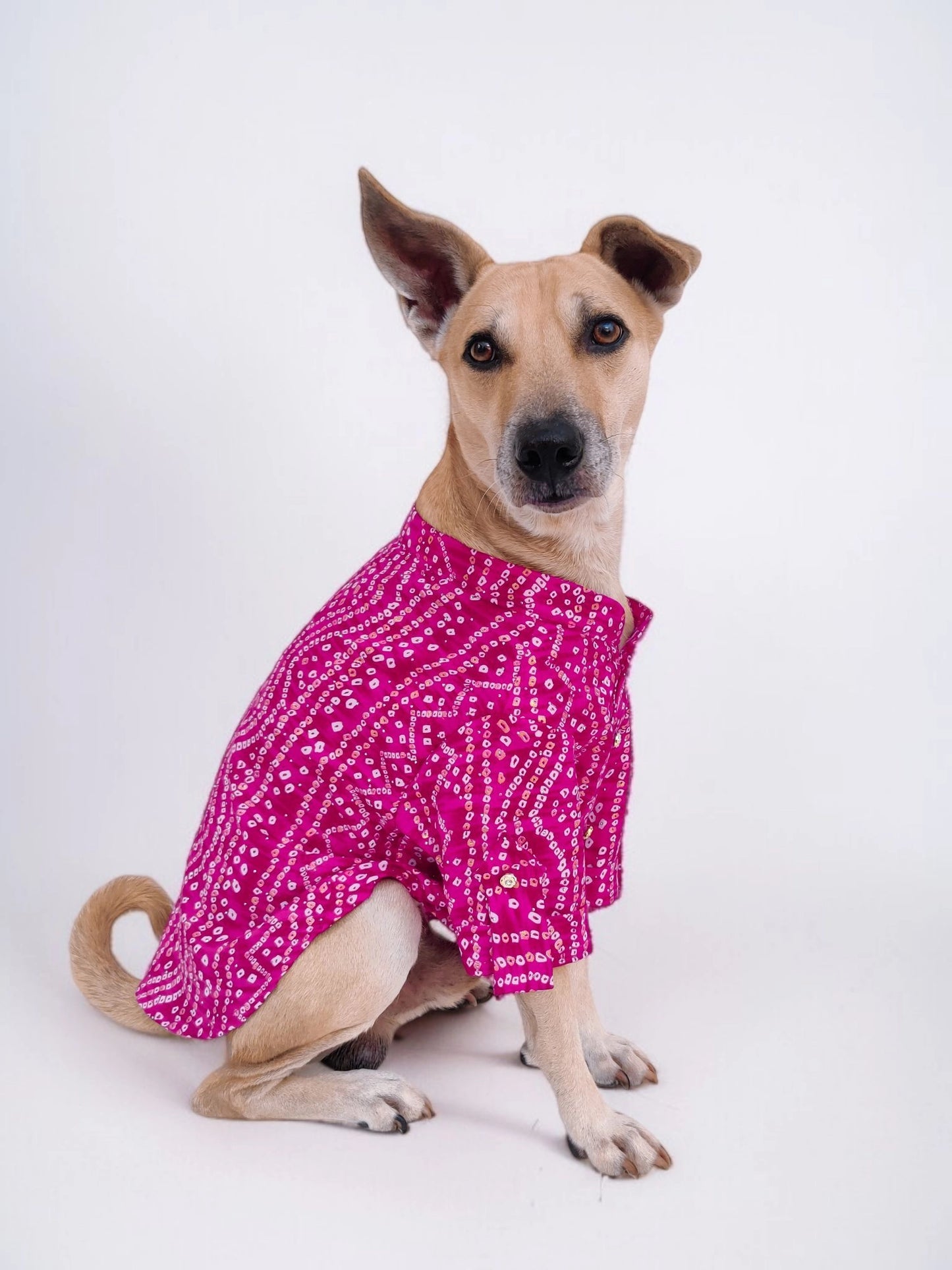 Pink Bandhani Kurta