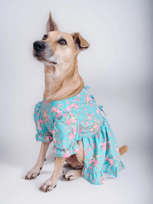 Rosie Back Tie Dress