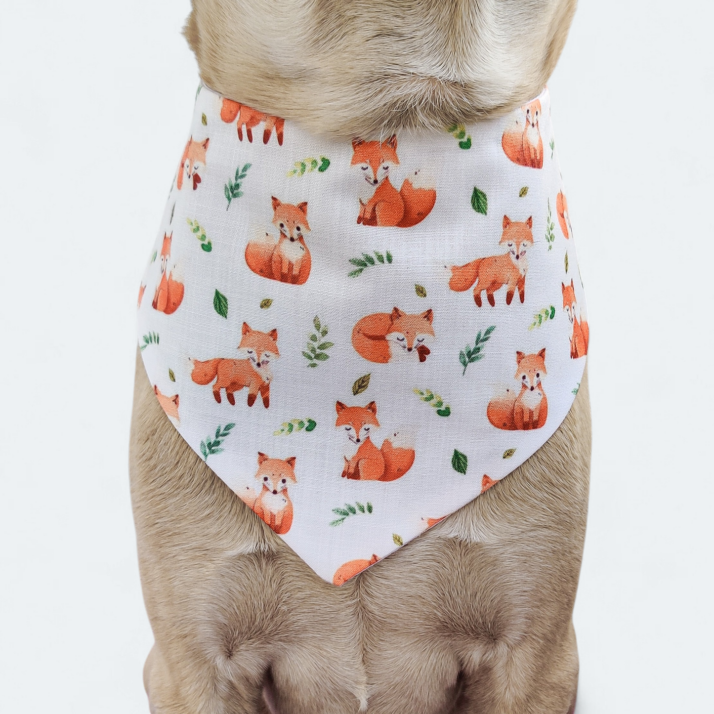 Foxy Bandana