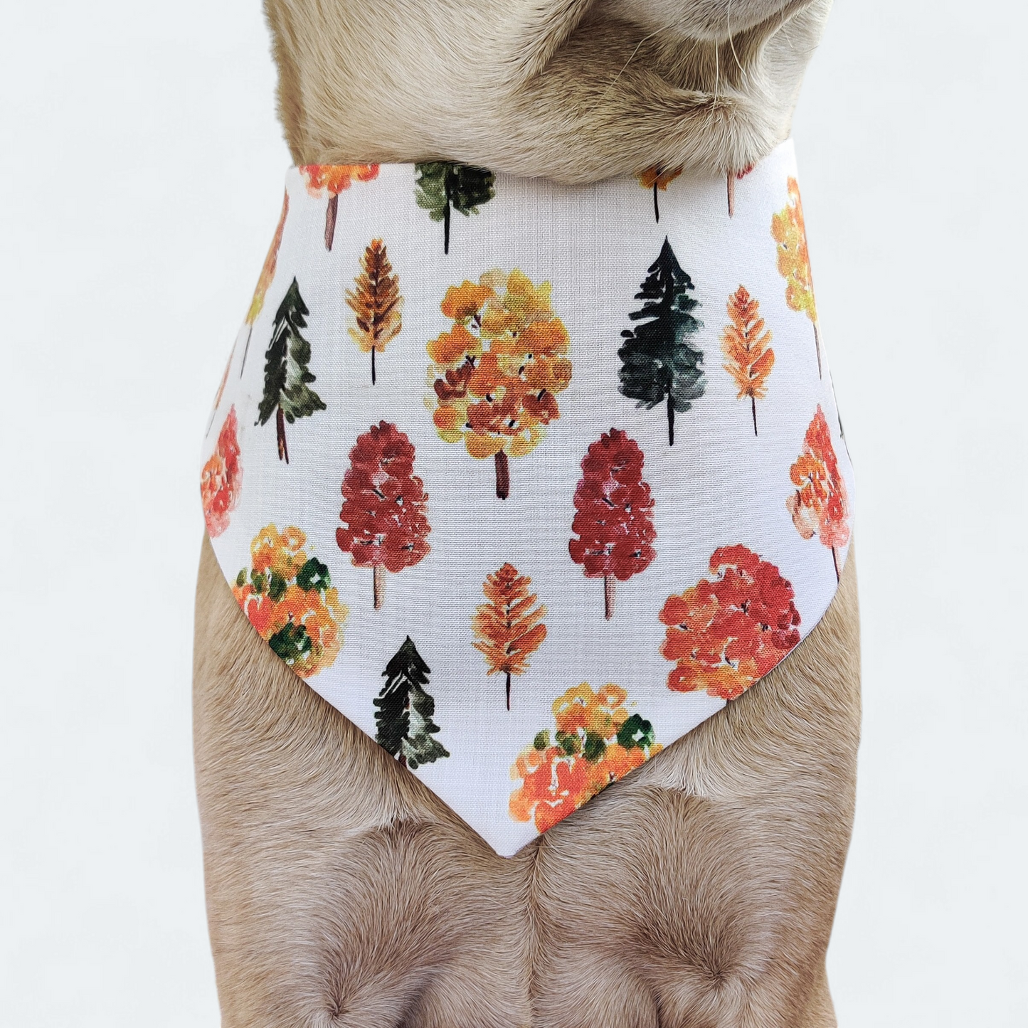 Fall trees Bandana