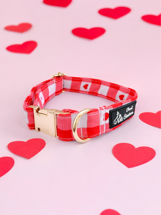 Heartfelt Gingham Collar + Leash + Sailor Bow