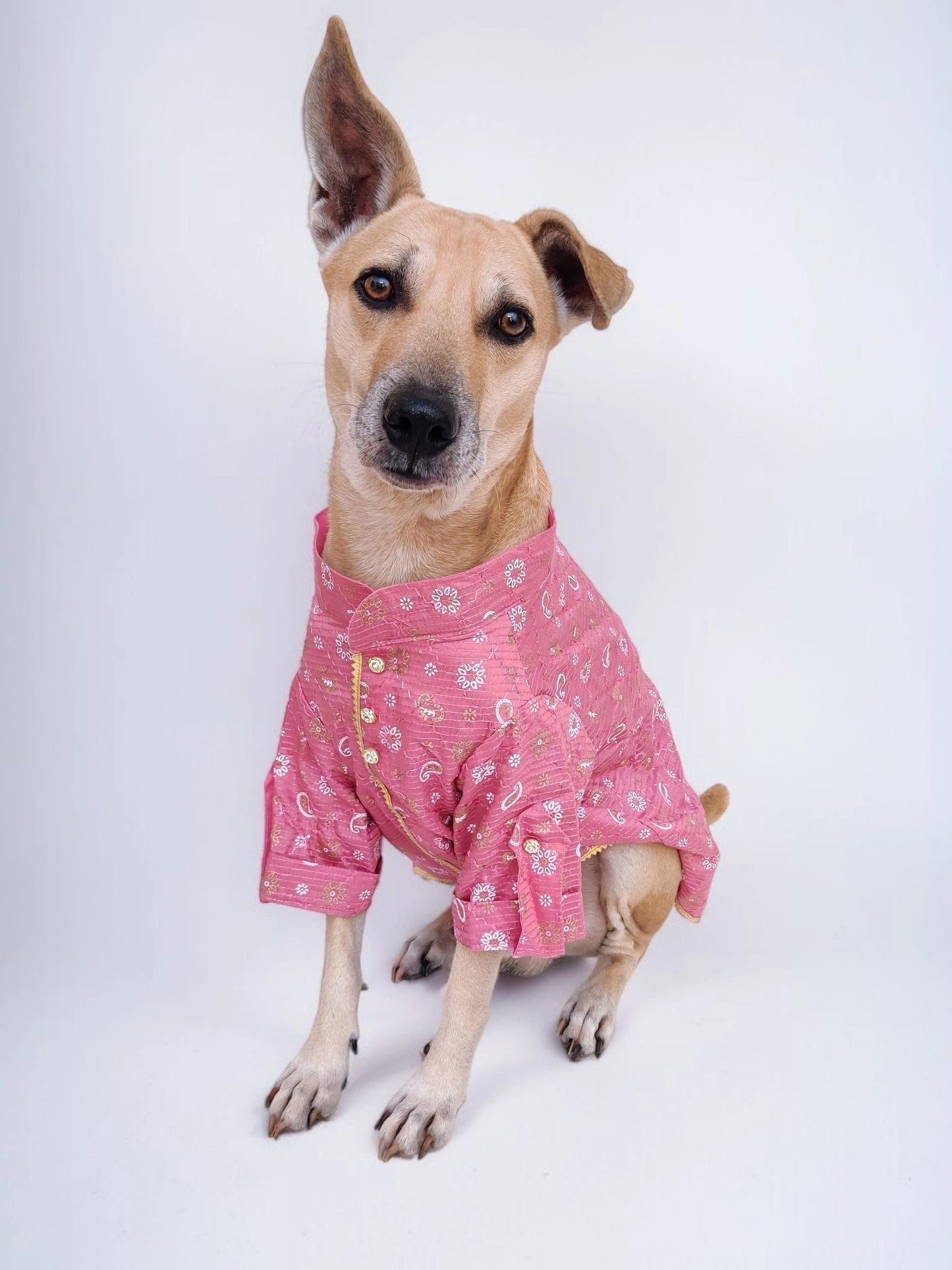 Dusky rose Kurta