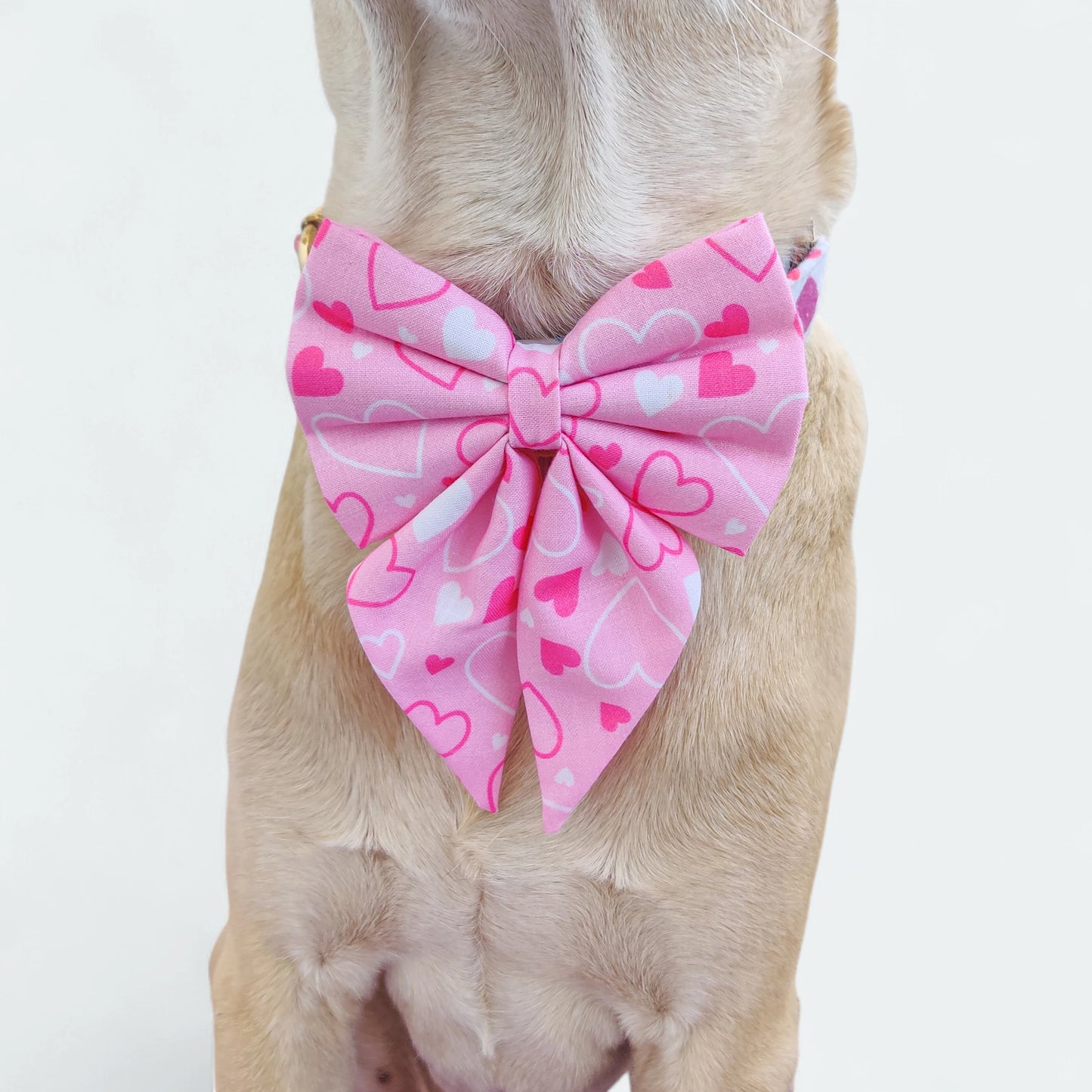 Sugar Love Sailor Bow for Dogs