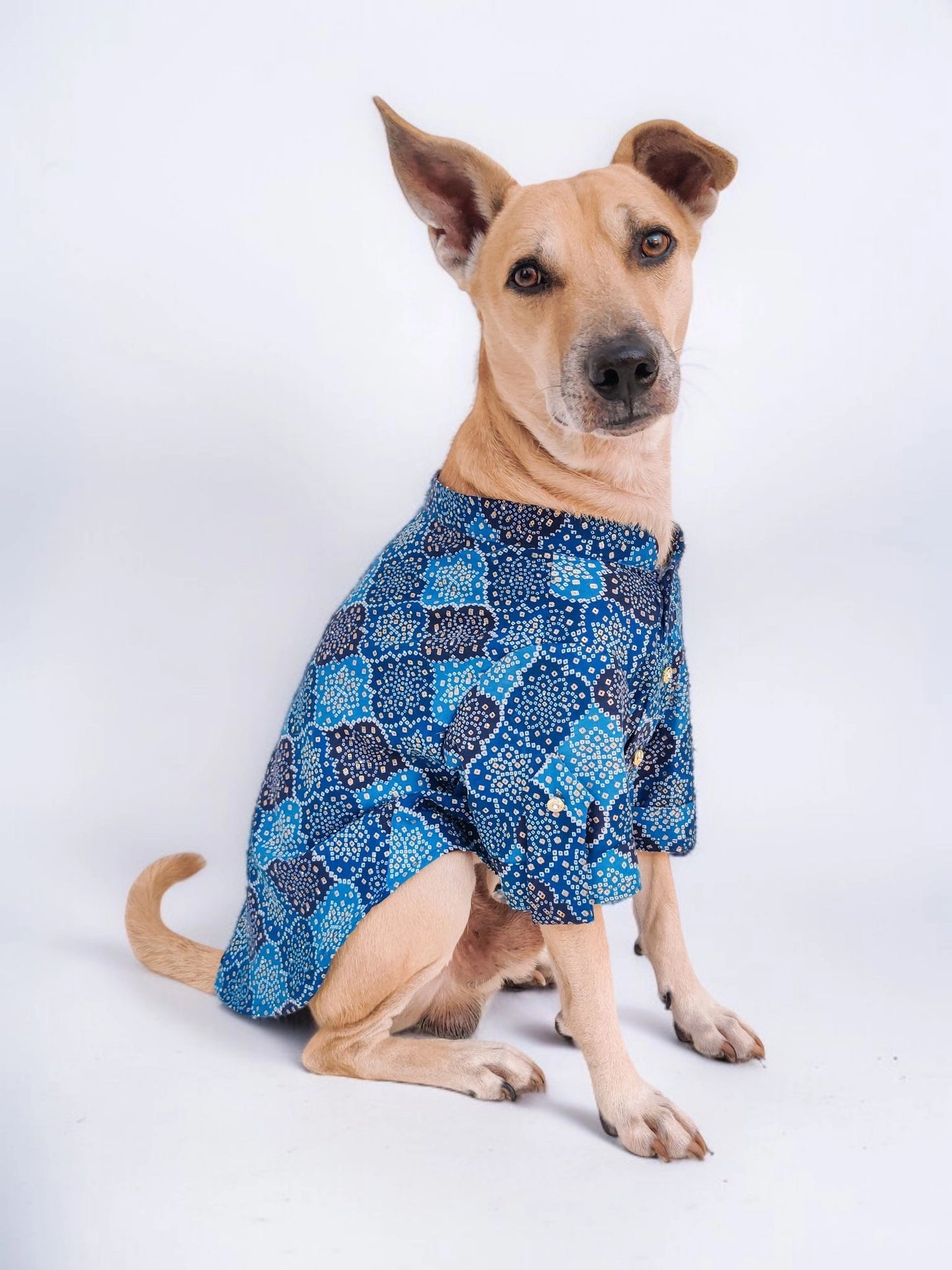 Blue Bandhani Kurta