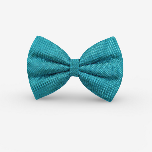 The Dapper Teal Classic Bow for Dogs