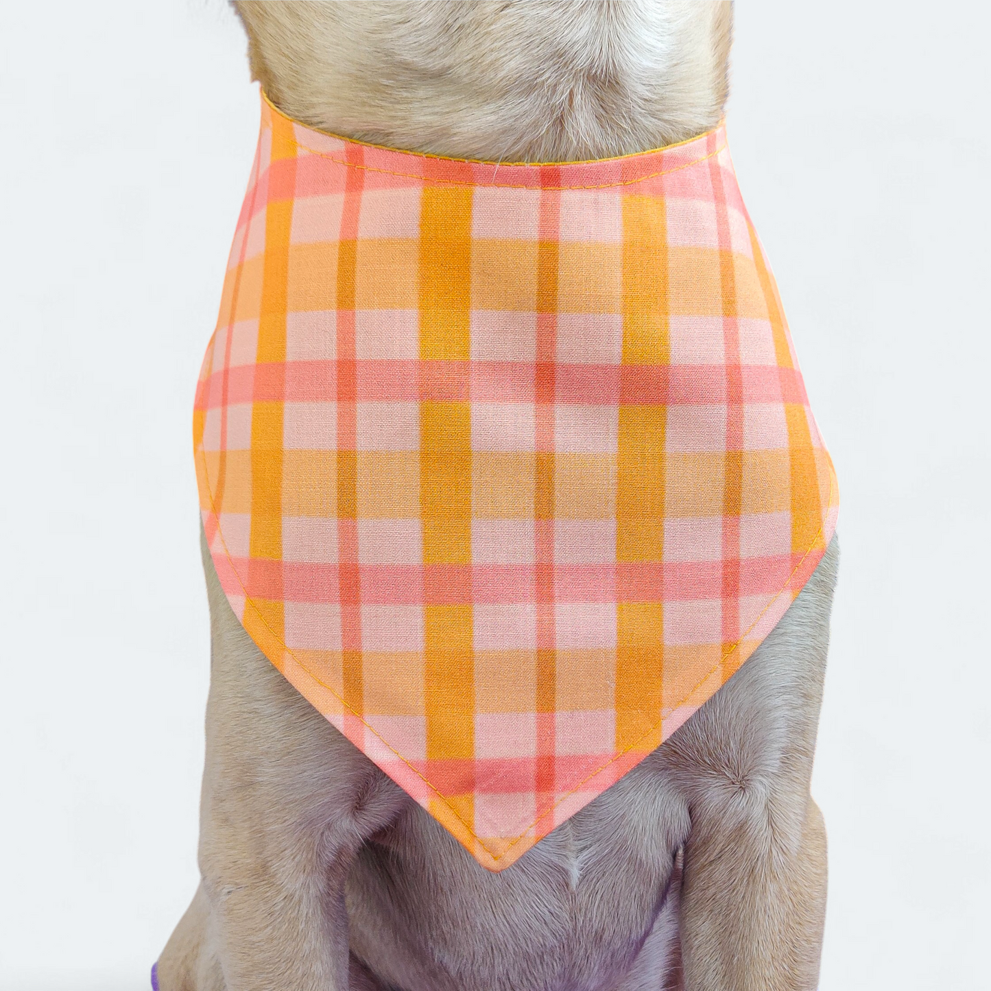 Sunshine Bandana