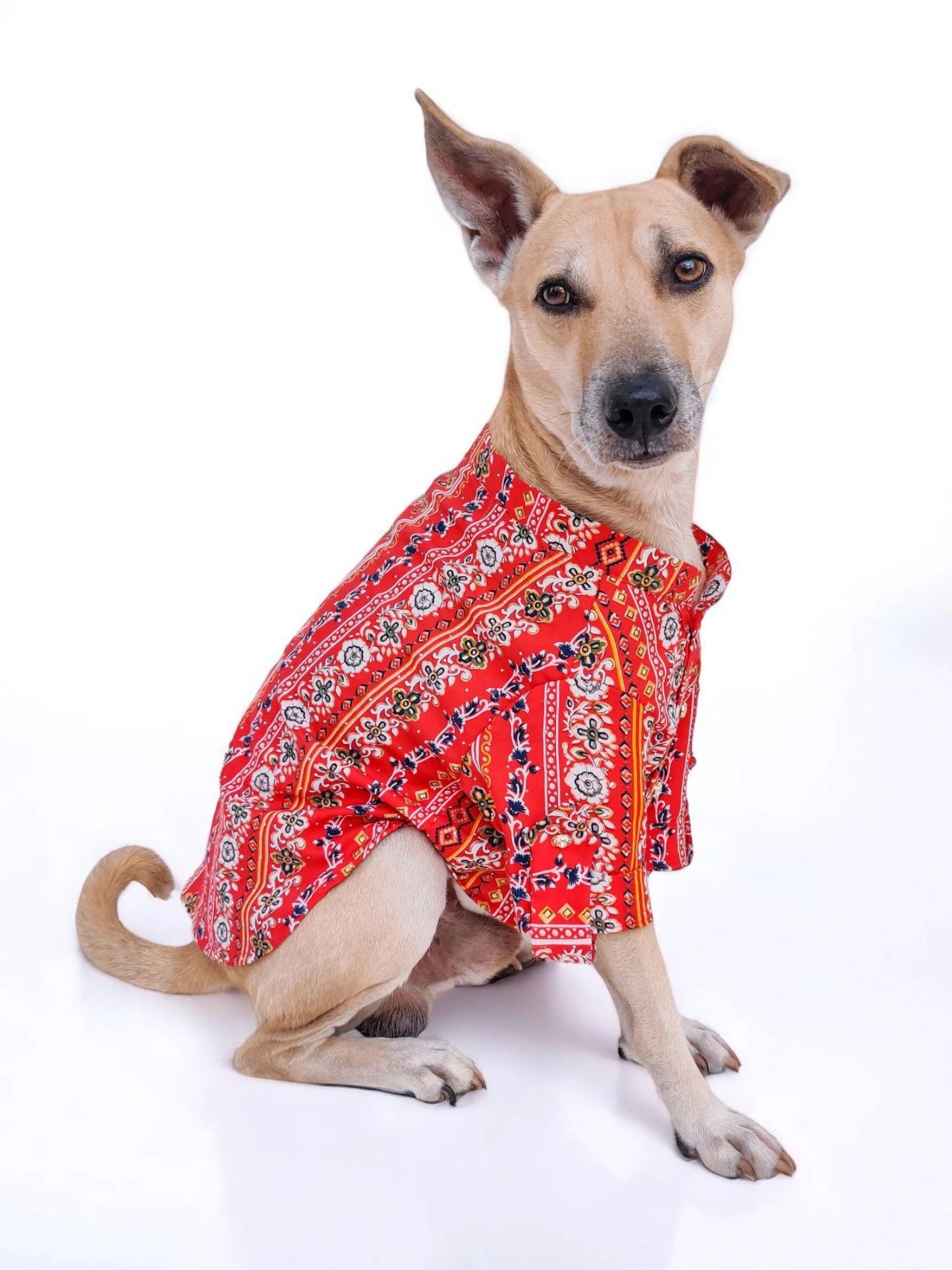 Laal Jashn Kurta