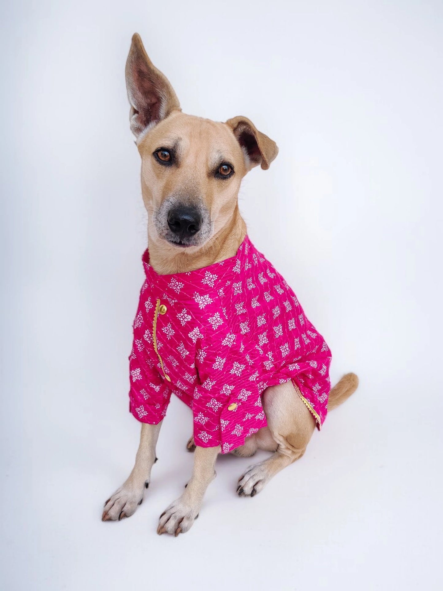 Fuchsia Fiesta Kurta