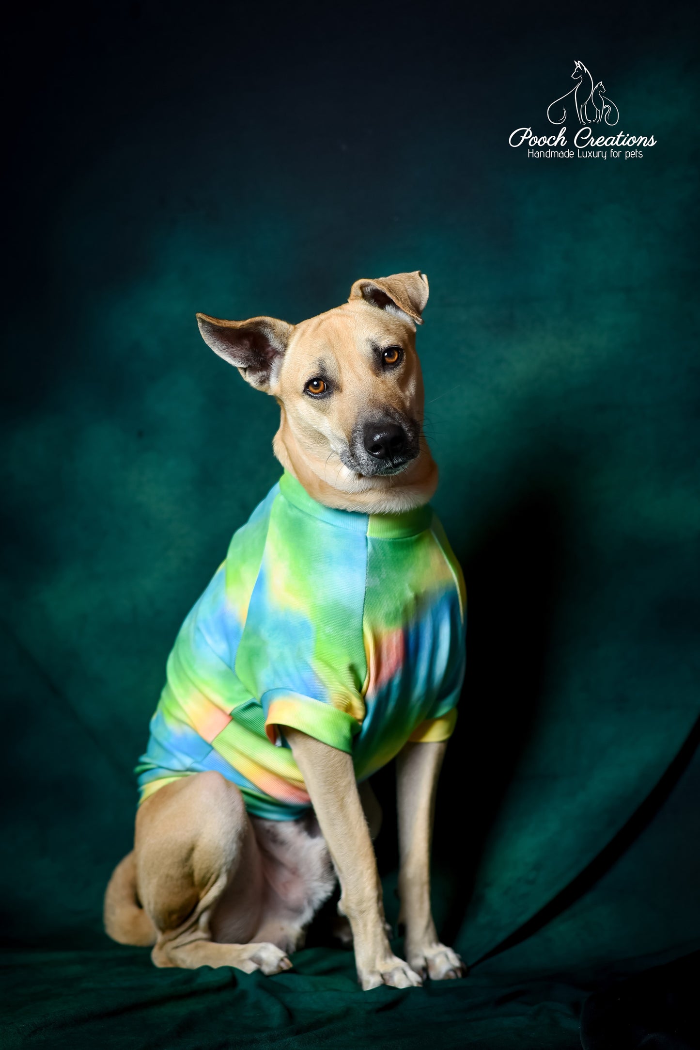 Aurora T shirt