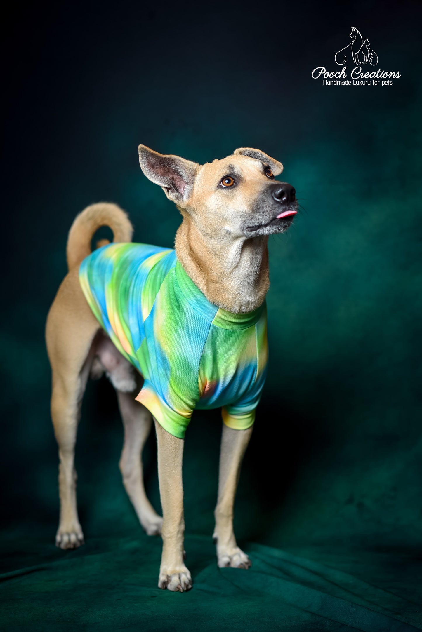 Aurora T shirt