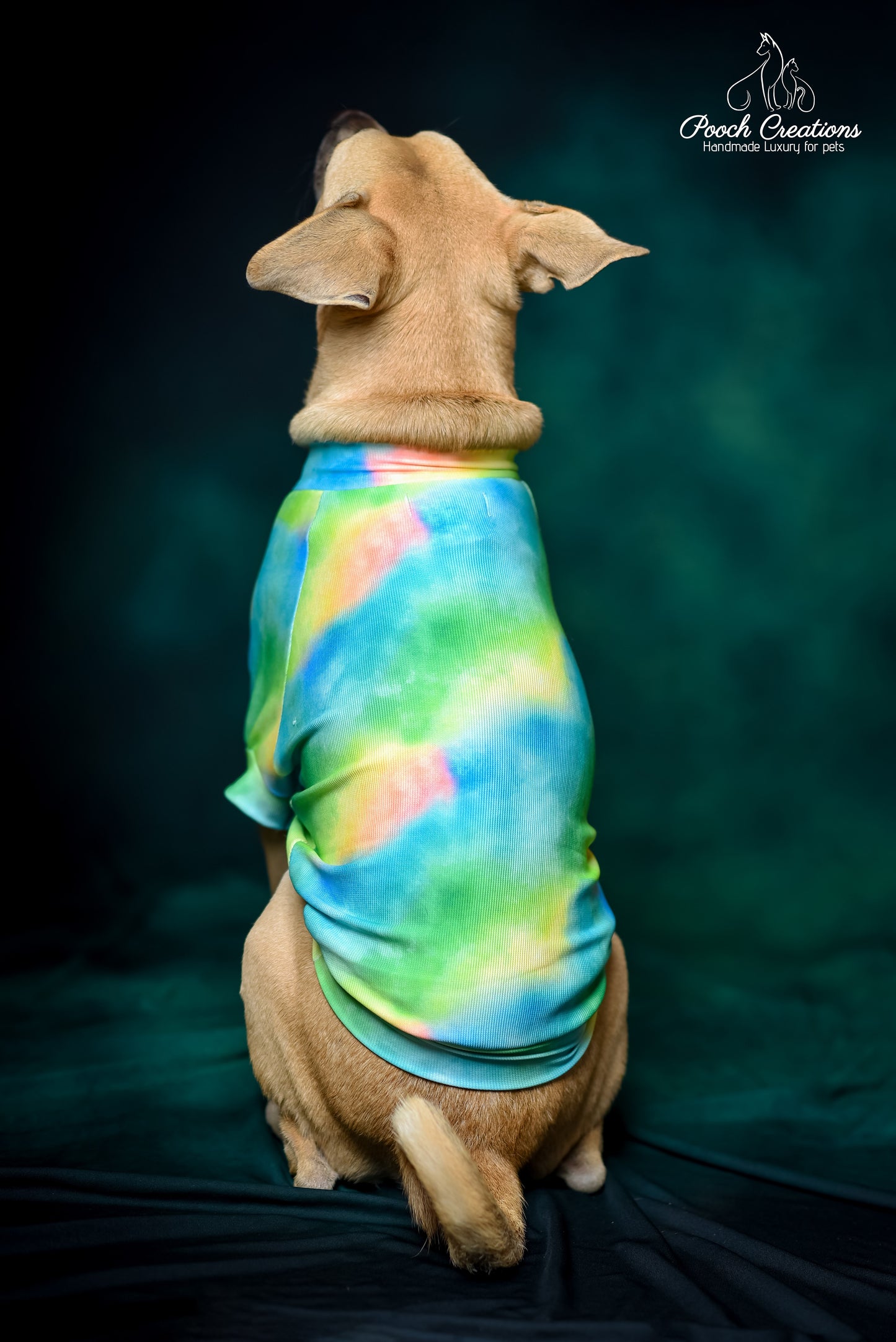 Aurora T shirt