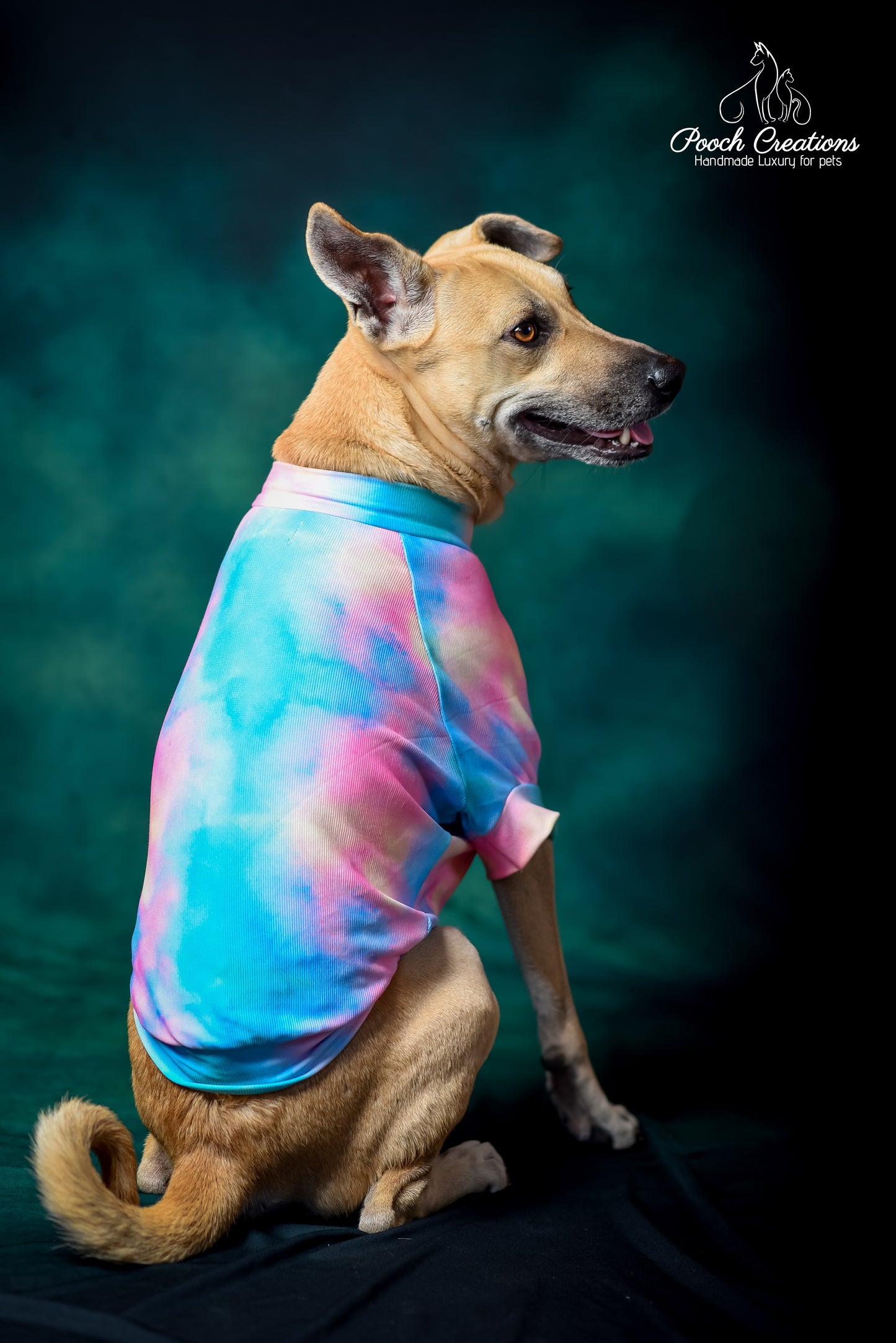 Pink Sky T shirt