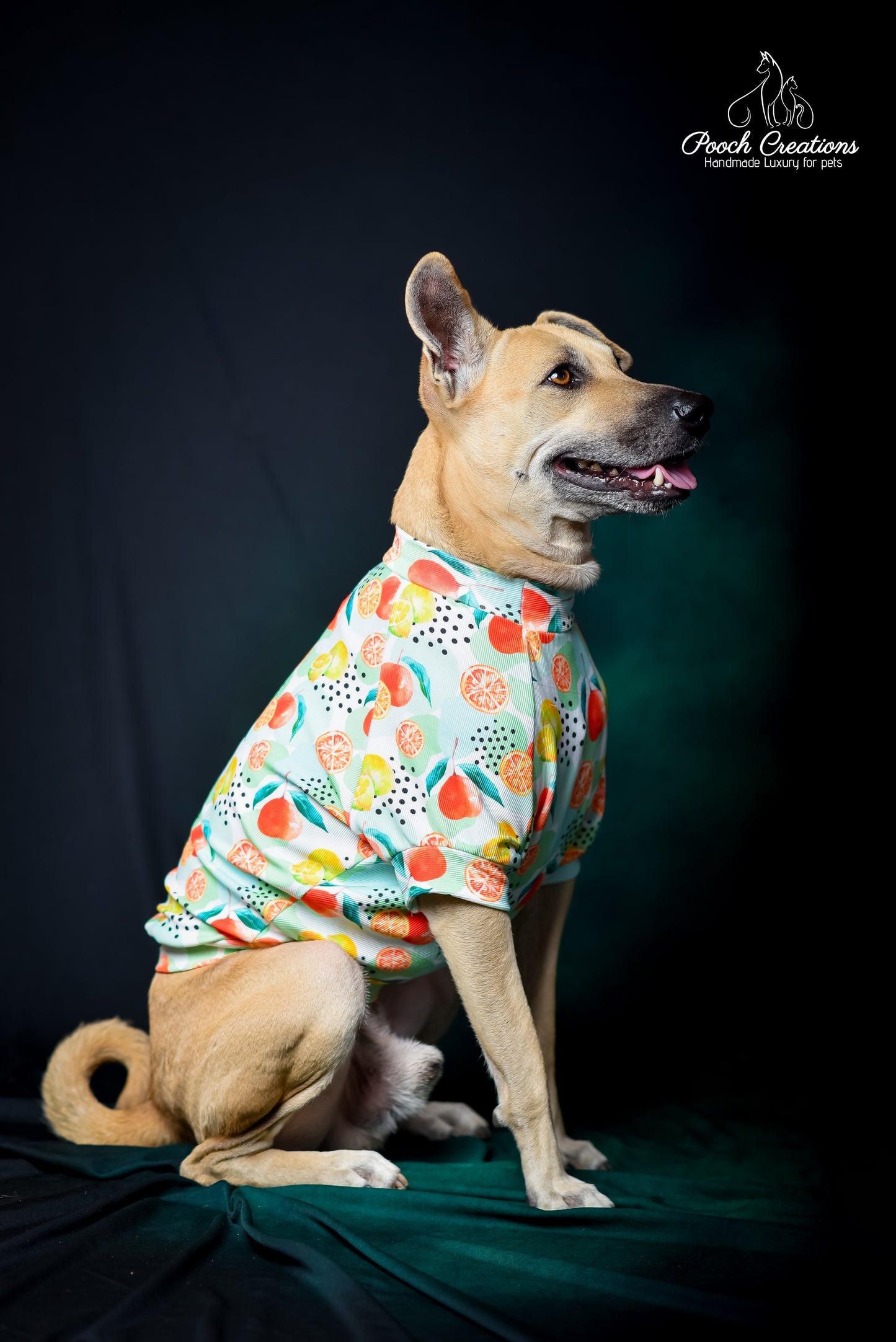 Citrus T shirt