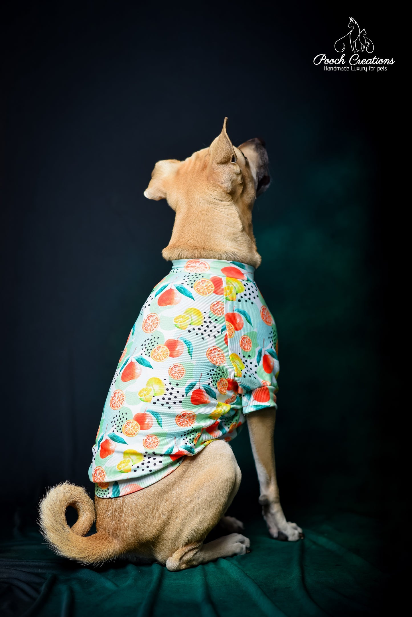 Citrus T shirt
