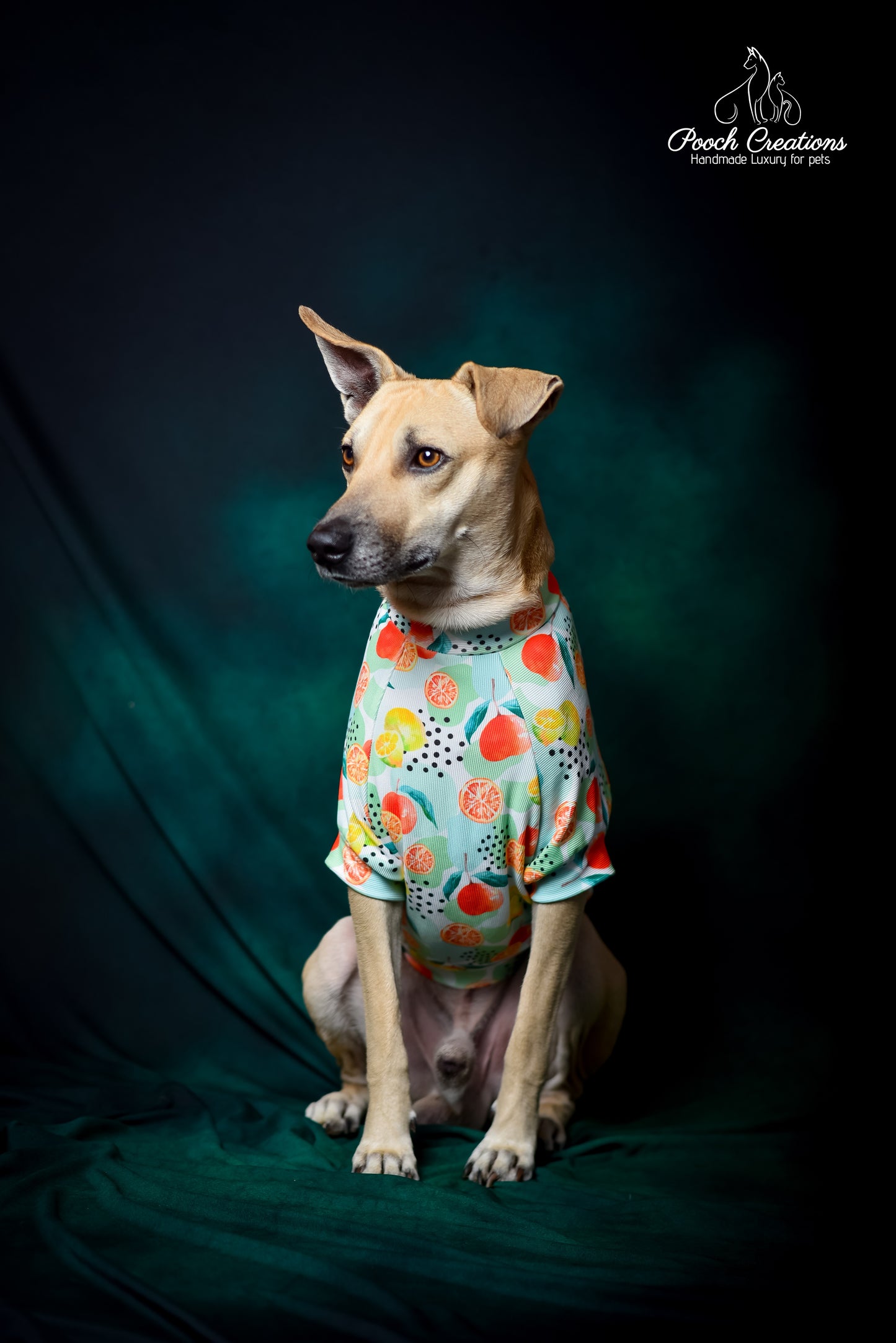 Citrus T shirt