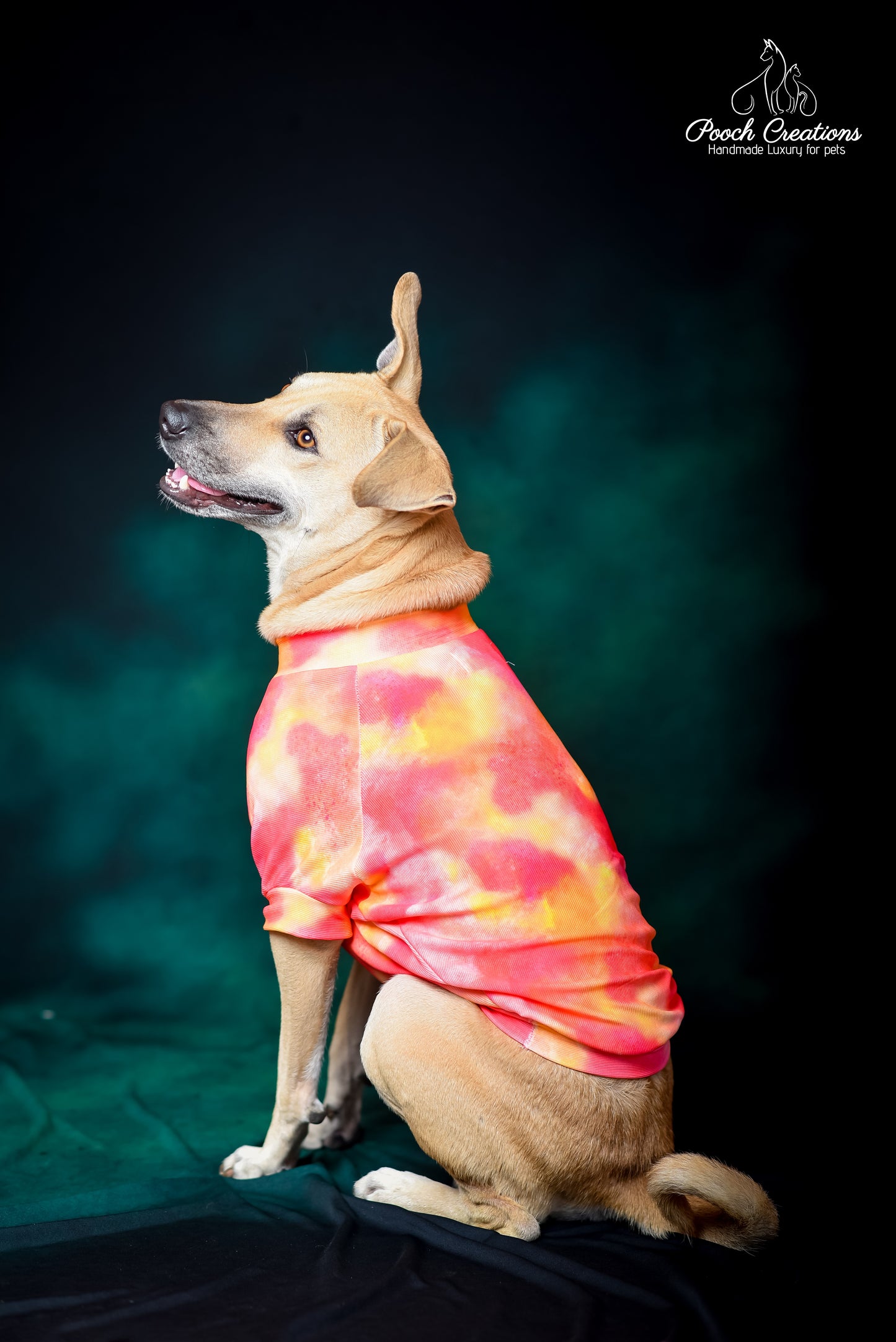 Sunset T shirt