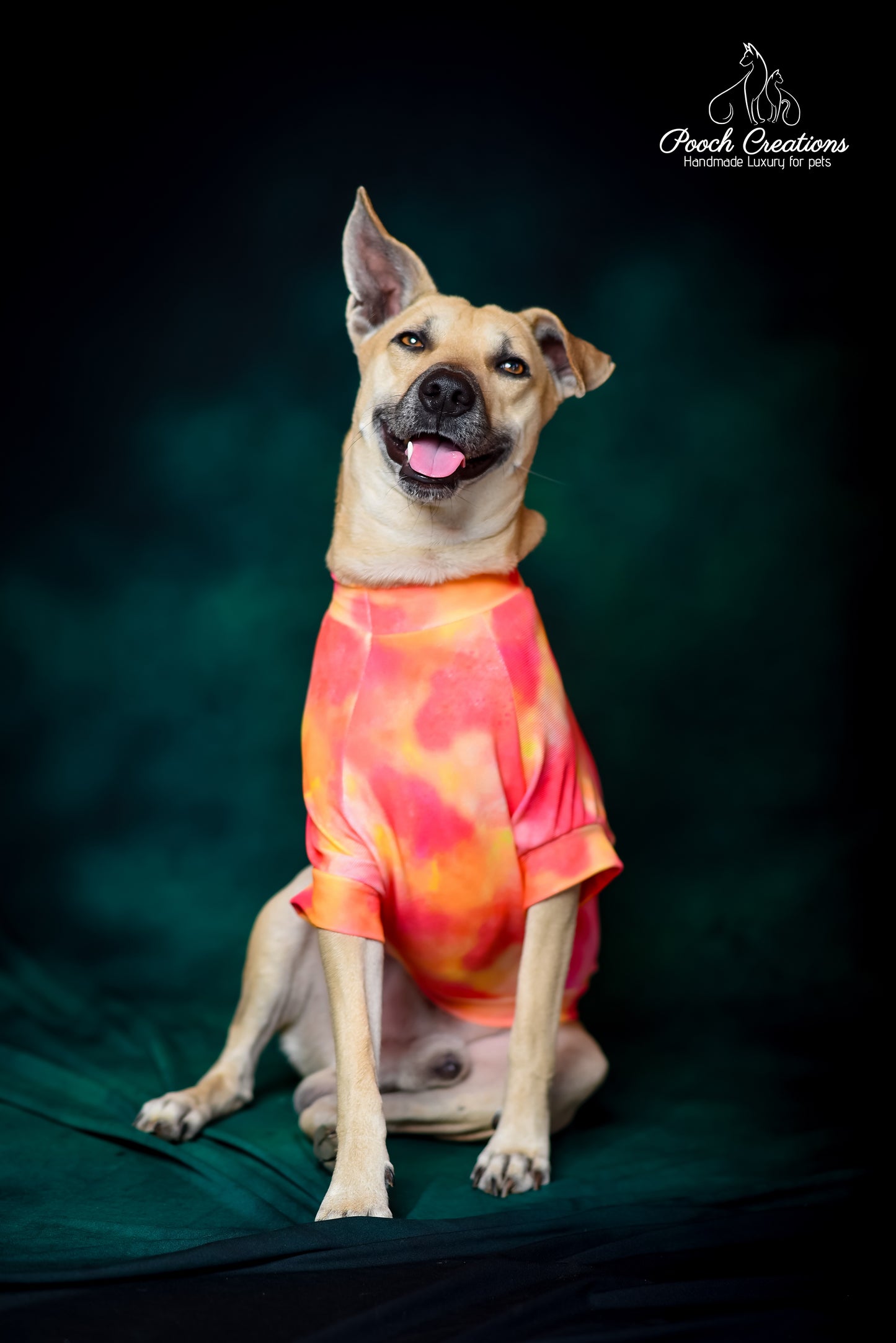Sunset T shirt