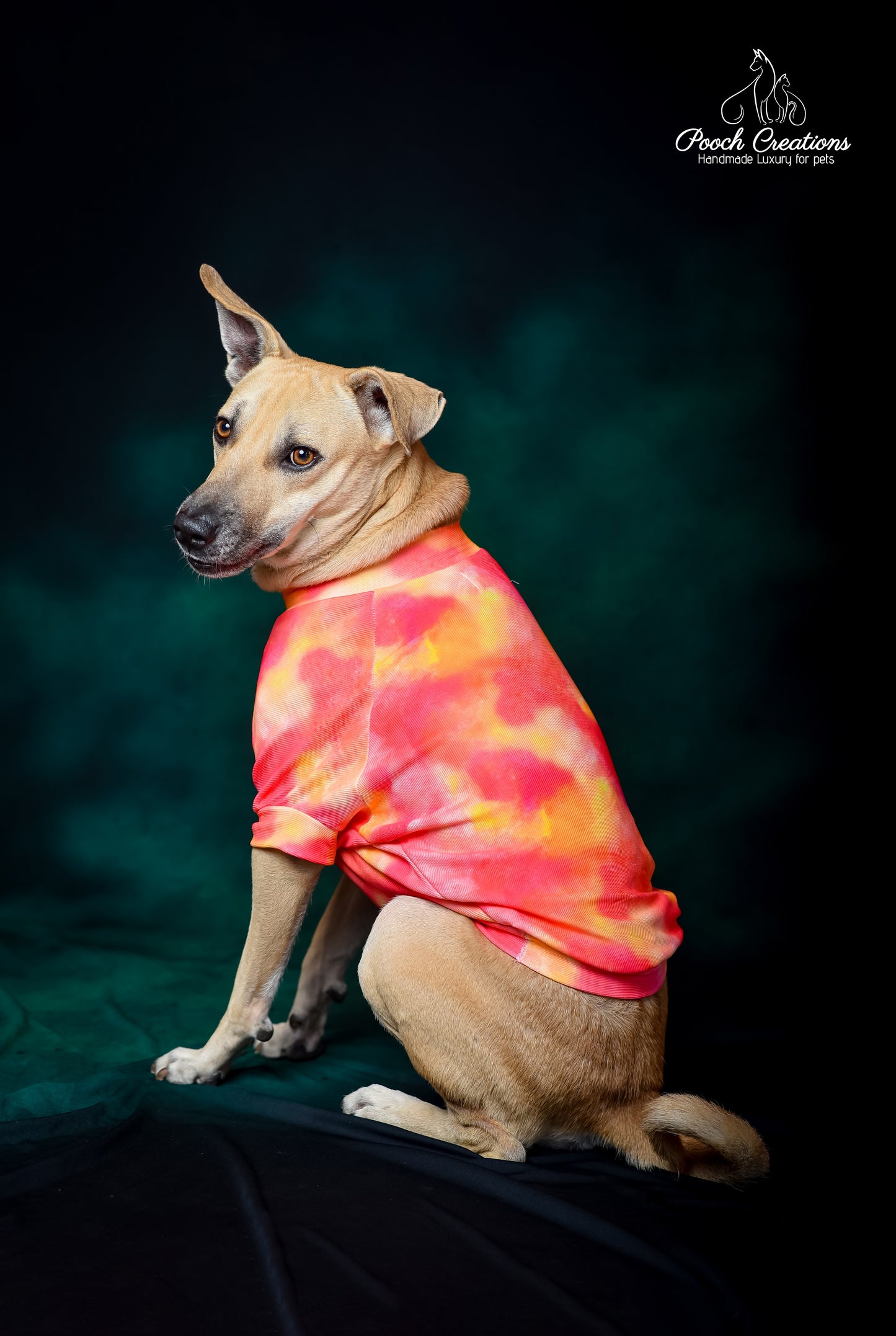 Sunset T shirt