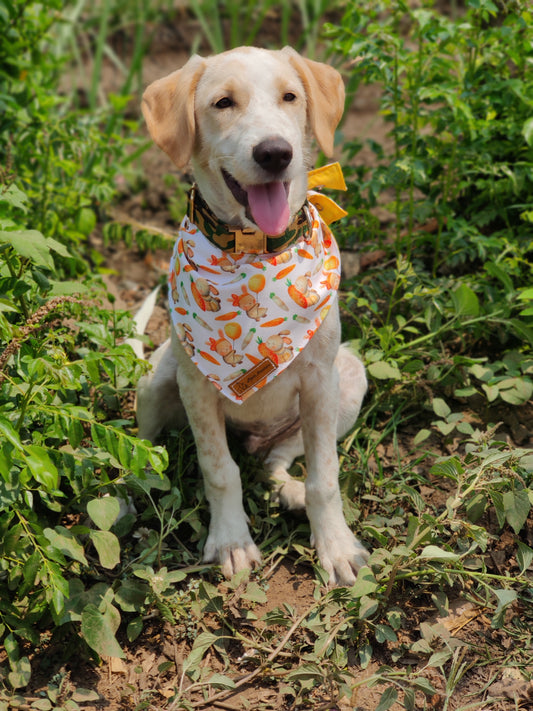 Honey Bunny Snap on Bandana