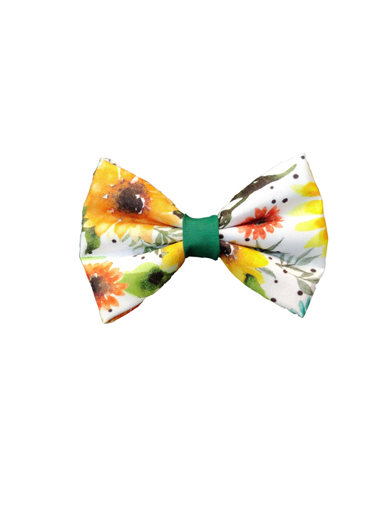 Sunflower Classic Bow for Dogs