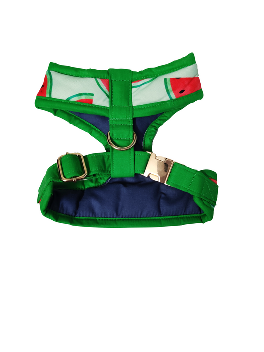 Watermelon sugar Harness