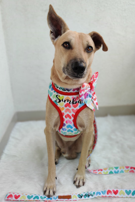 Sweet Heart Harness + Collar + Leash + Sailor Bow