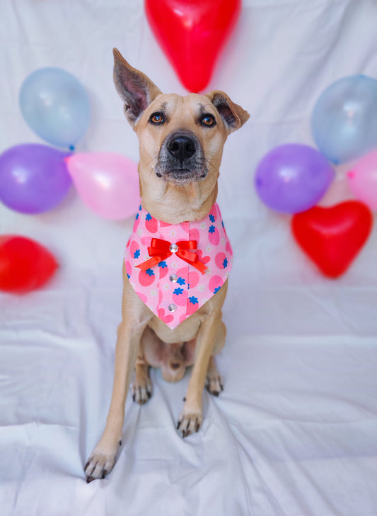 Pink Strawberry Bandana