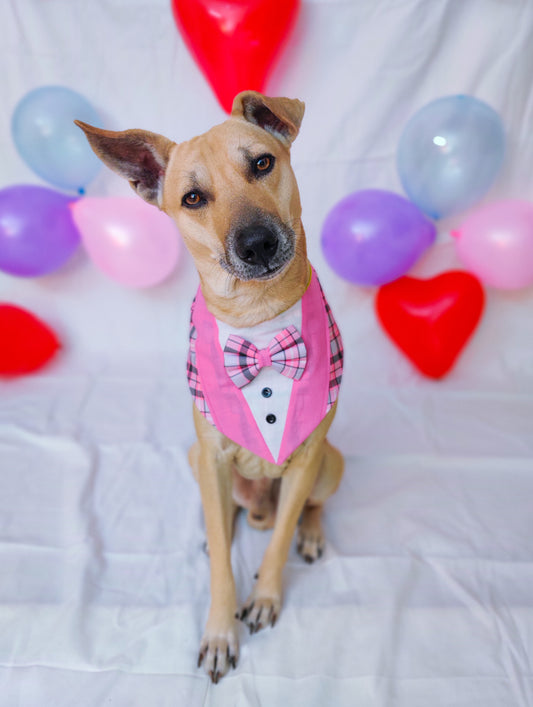 Pink Plaid Tuxedo Bandana