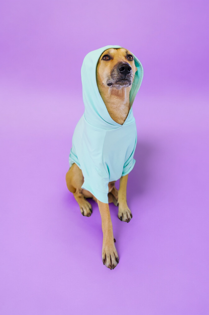 Mint Sweatshirt