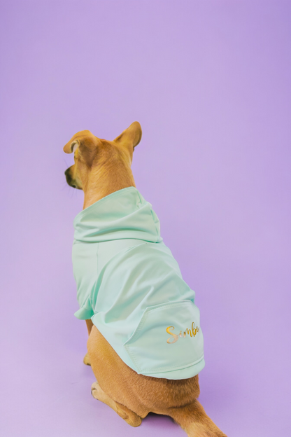 Mint Sweatshirt