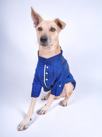 Majestic Azure Kurta