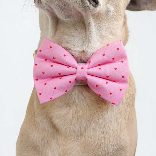 Pinky Promise Classic Bow for Dogs