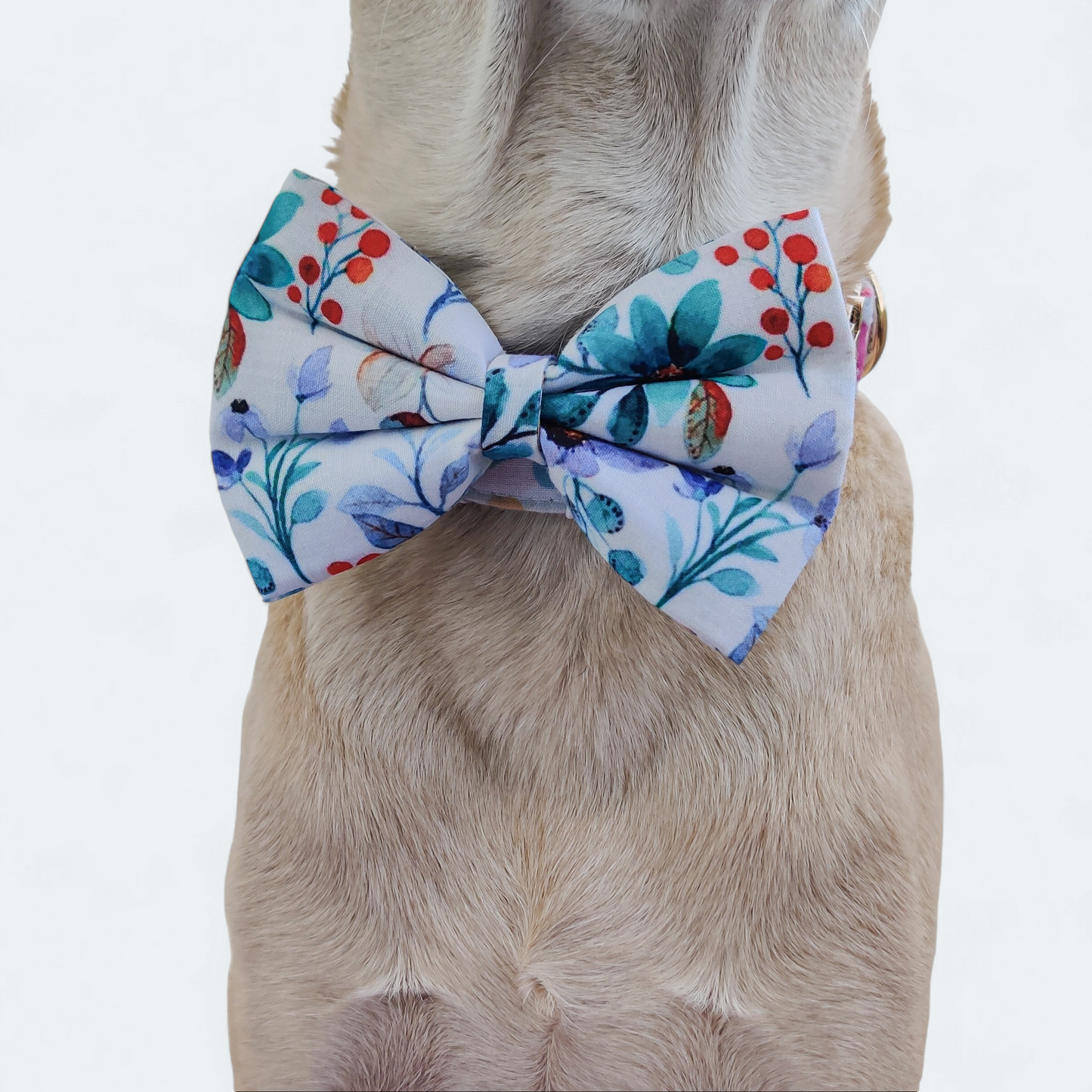 Petunia Collar + Leash + Classic Bow